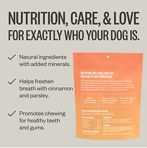 Ollie Dental Chews for Dogs Large- Dog Breath Treats - Dog Teeth Cleaning Treat - Dental Sticks for Dogs - Fresh Breath for Dogs - Dog Dental Chews - Dog Dental Care - 12 Oz.