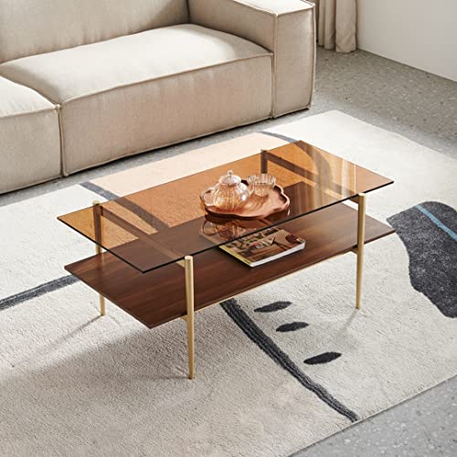 AGV LIGHTING 202206 Tadio Glass Coffee Table, Double Layer Coffee Table for Living Space, Gold Finish Frmae, Coffee Brown Glass Top & Walnut Brown Wood Top