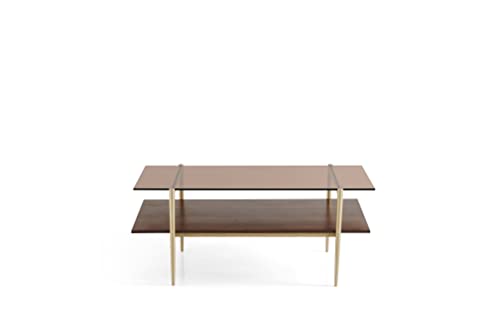 AGV LIGHTING 202206 Tadio Glass Coffee Table, Double Layer Coffee Table for Living Space, Gold Finish Frmae, Coffee Brown Glass Top & Walnut Brown Wood Top