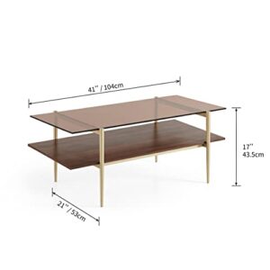 AGV LIGHTING 202206 Tadio Glass Coffee Table, Double Layer Coffee Table for Living Space, Gold Finish Frmae, Coffee Brown Glass Top & Walnut Brown Wood Top