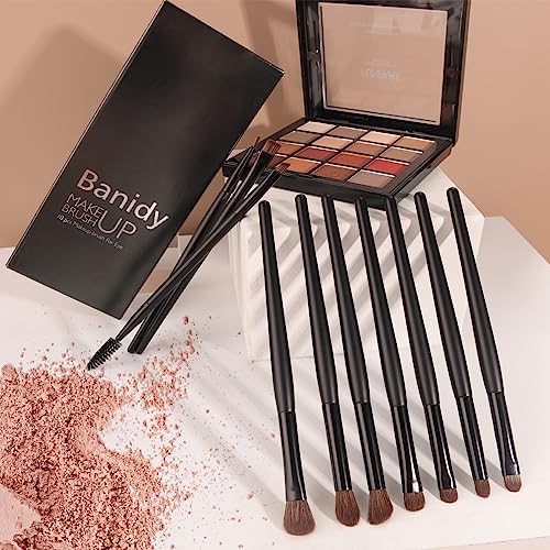 Banidy Eye Makeup Brushes 10pcs Eyeshadow Brushes Professional Eyebrow Eyeliner Makeup Brushes Set with Soft Synthetic Hairs & Real Wood Handle for Eyeshadow,Eyebrow, Eyeliner,Concealer,Foundation, Powder, Blending