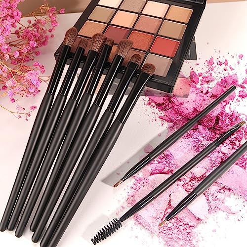 Banidy Eye Makeup Brushes 10pcs Eyeshadow Brushes Professional Eyebrow Eyeliner Makeup Brushes Set with Soft Synthetic Hairs & Real Wood Handle for Eyeshadow,Eyebrow, Eyeliner,Concealer,Foundation, Powder, Blending