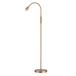o’bright ray – adjustable led beam floor lamp, dimmable and zoomable spotlight, flexible gooseneck, reading/crafting standing lamp, work table light, antique brass