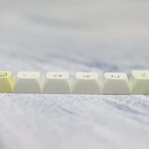 Cmokifuly Botanical Keycaps XDA Profile Keycaps Custom Keycaps for Mechanical Keyboard,144 Keys Set PBT Keycaps Dye Sublimation Keycaps (Botanical Garden)