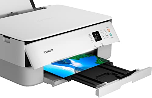 Canon Wireless Pixma Inkjet All in One Printer with Scanner - High Resolution Fast Speed Printing Compact Size Up to 4800x1200 DPI Color Resolution, Bonus Set of NeeGo Ink and 6 Ft Printer Cable