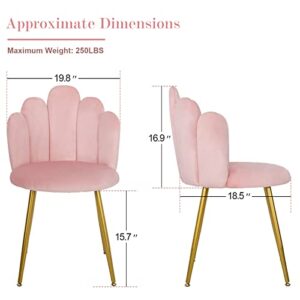 Okeysen Vanity Chair for Makeup Room - Mid Century Modern Accent Chair with Back Velvet Chair with Gold Legs, for Bedroom, Living Room (Pink)