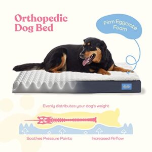 Orthopedic Large Dog Bed - Ultra Comfortable Dog Bed for Large Dogs Small, Medium, Large and Extra-Large Dogs/Cats with Sherpa top - Breathable Pet Bed - Egg Foam Sofa Bed - Removable Washable Cover.