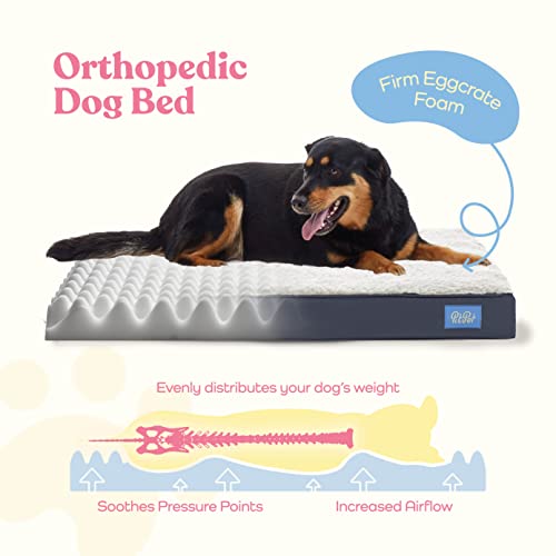 Orthopedic Large Dog Bed - Ultra Comfortable Dog Bed for Large Dogs Small, Medium, Large and Extra-Large Dogs/Cats with Sherpa top - Breathable Pet Bed - Egg Foam Sofa Bed - Removable Washable Cover.