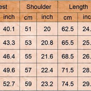 Beowyro The Owl House Luz Noceda Hoodies Cosplay Amity Blight Costume Zipper Jacket Collector Pullover Sweatshirt Coat for Men Women