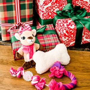 Dan Dee Rudolph The Red-Nosed Reindeer | 4-Piece Ball, Rope, and Two Squeaker Toy Bundle | Officially Licensed Holiday Pet Gift Sets |Clarice, Pink