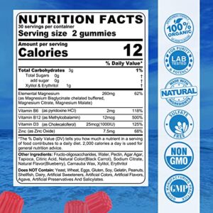 Sugar Free Magnesium Gummies, Triple Magnesium Supplement | Magnesium Glycinate, Malate, Citrate w/ D3 B6 B12, 260mg Chelated for High Absorption, for Calm, Sleep, Mood & Muscle Cramp, Vegan, 2 Pack