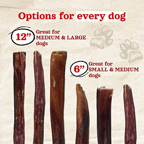 Natural Farm Power Bully Sticks Dog Chews (6”, 5-Pack), 2-in-1 Power Chews: Premium Beef Cheek Wrapped in Beef Pizzle, Long-Lasting, Great Dog Dental Treats Fro Small, Medium & Large Dogs