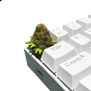 custom keycap for mechanical gaming keyboard - design marijuana buds - artisan cherry mx made in resin with universal compatibility - unique gift idea, green brown orange