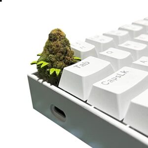 Custom Keycap for Mechanical Gaming Keyboard - Design Marijuana Buds - Artisan Cherry MX Made in Resin with Universal Compatibility - Unique Gift Idea, Green Brown Orange