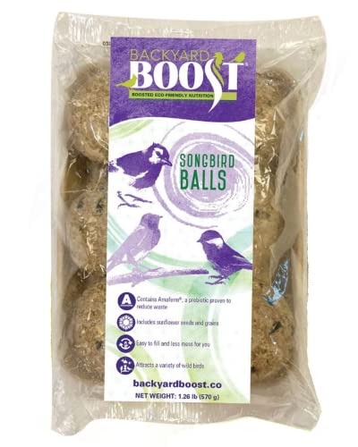 Backyard Boost Songbird Balls - Bird Food for Outside Wild Birds - 1.3.Pounds (Pack of 6)