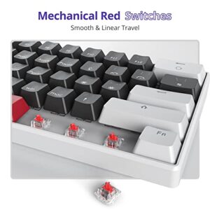 Ussixchare 60 Percent Mechanical Keyboard Mini Gaming Keyboard 60% with Red Switch Wired Type-C Cable Mini Keyboard with LED Backlight for Laptop/PC/Mac/PS5/PS4/Xbox Gamer(White-Black)