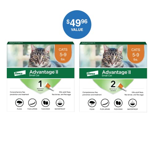 Advantage II Small Cat Vet-Recommended Flea Treatment & Prevention | Cats 5-9 lbs. | 3-Month Supply