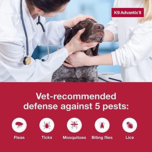 K9 Advantix II XL Dog Vet-Recommended Flea, Tick & Mosquito Treatment & Prevention | Dogs Over 55 lbs. | 3-Mo Supply