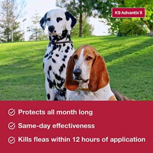 K9 Advantix II XL Dog Vet-Recommended Flea, Tick & Mosquito Treatment & Prevention | Dogs Over 55 lbs. | 3-Mo Supply