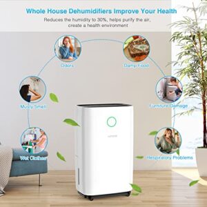 HUMILABS Dehumidifiers for Large Room or Basements, 50 Pint for 4500 Sq.ft Dehumidifier with 135oz Water Tank, Drain Hose and Wheels, Intelligent Humidity Control, Laundry Dry, Auto Defrost, 24H Timer