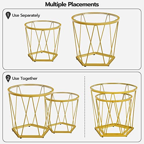 HOOBRO Round Coffee Table Set of 2, Gold Coffee End Table with Metal Frame, Tempered Glass Small Coffee Table for Living Room Bedroom Balcony Yard, Modern Style, Gold GD79BZ01