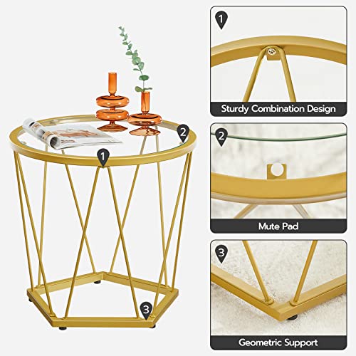 HOOBRO Round Coffee Table Set of 2, Gold Coffee End Table with Metal Frame, Tempered Glass Small Coffee Table for Living Room Bedroom Balcony Yard, Modern Style, Gold GD79BZ01