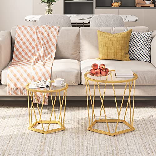 HOOBRO Round Coffee Table Set of 2, Gold Coffee End Table with Metal Frame, Tempered Glass Small Coffee Table for Living Room Bedroom Balcony Yard, Modern Style, Gold GD79BZ01