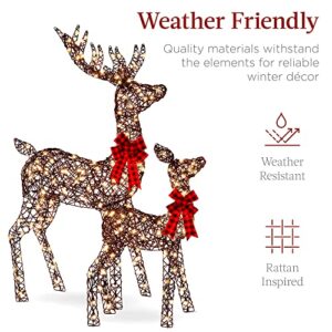 Best Choice Products 3-Piece Large Rattan Deer Family, Lighted Christmas Reindeer 5FT Outdoor Yard Decoration Set w/ 360 Incandescent Lights, Stakes, Zip Ties - Brown