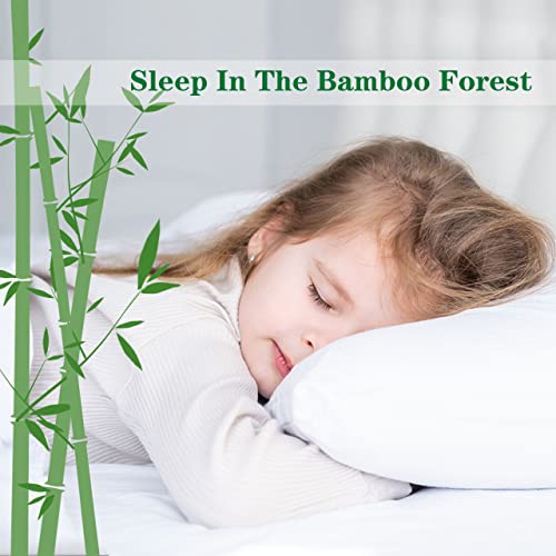 DREAMHOUR Bamboo Fiber Comforter Queen Size,White Ultra Soft Breathable Plush Duvet Insert All Season Machine Washable,8 Corner Tabs 90X90 Inches