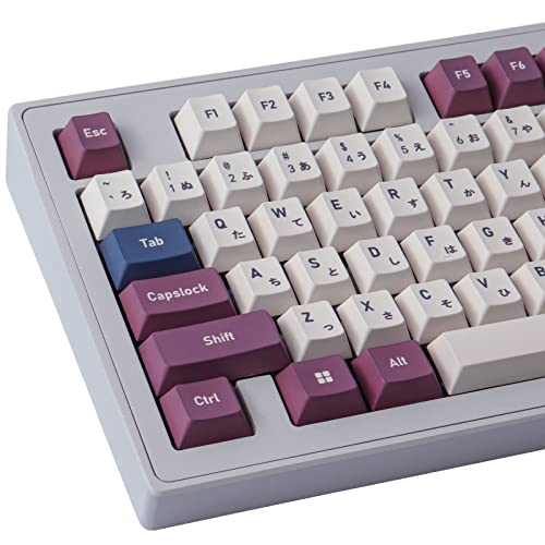 Tsungup PBT Keycaps, 145 Keys Cherry Profile Classic Game Console Keycaps Dye Sublimation with Japanese Keycaps 6.25U 7U Spacebar for Cherry MX Switches Mechanical Keyboards