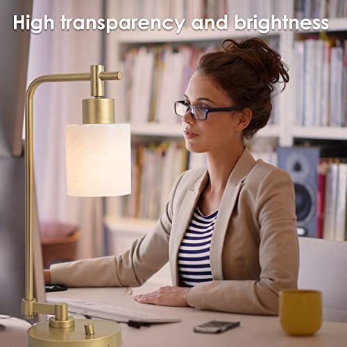 HGHYjrxfkl 1 Pack Alabaster White Glass Lamp Shade, Cylinder Glass Lamp Shade Replacement with 1-5/8-inch Fitter Opening for Pendant light, Desk lamp,Wall Sconces and Bathroom Vanity lights.