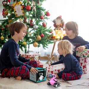 Robot Toys, Rechargeable RC Robots for Boys, RC Robot Toys for Kids, Kids Toys with Music and LED Eyes, 3+ Years Old Boys/Girls Toys (Pink)