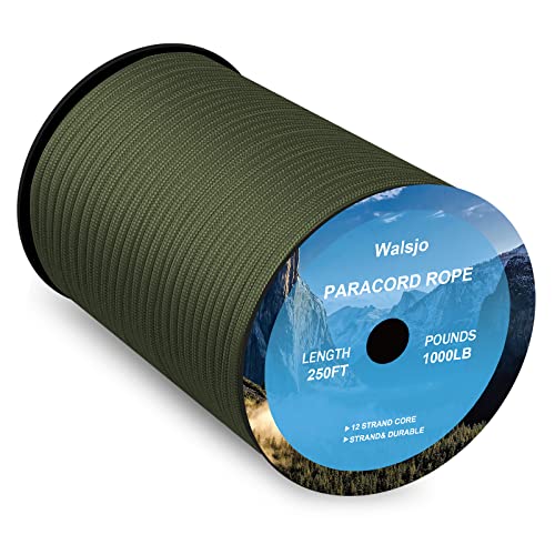 1000Ib Paracord/Parachute Cord - 12 Strand Paracord Rope - 100ft 250ft 500ft 1000ft 4mm, para Cord Lanyard for Camping, Hammock, Clothsline, Hiking and Surviva (Green, 100ft)