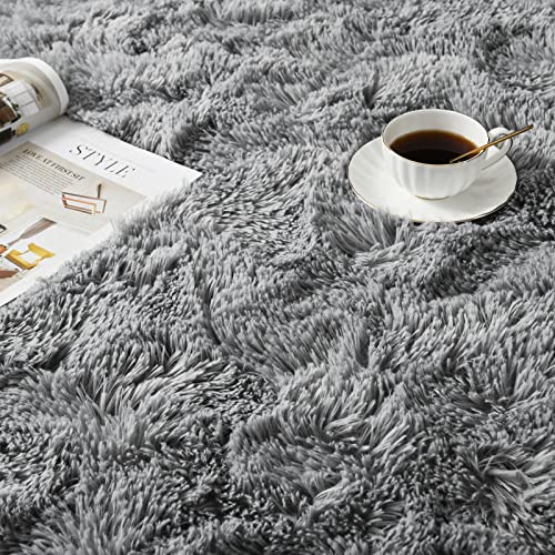 Soft Grey Rug for Living Room, Washable 4'X6' Fluffy Shag Area Rug for Bedroom Office Nursery Room, Gray Throw Shaggy Furry Carpet Rectangle Faux Fur Plush Rugs for Beside Teen Room Home Décor