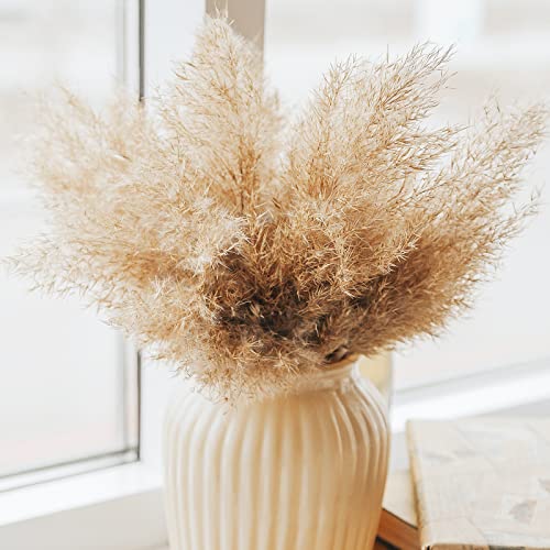 Pampas Grass Decor, Natural Dry Pampas Grass Small, Short Pampass Bulk for Farmhouse, Wall, Kitchen, Bedroom Decor, Office Decor (17 inch )