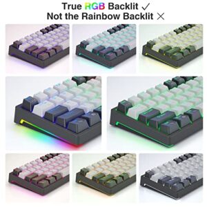 AULA RGB 60 Percent Wired Gaming Keyboard Mechanical, Mini Compact Hot Swappable Mechanical Gaming Keyboards with Brown Switches-Black&Grey