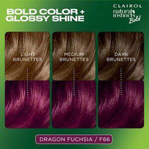 Clairol Natural Instincts Bold Permanent Hair Dye, F66 Dragon Fuchsia Hair Color, Pack of 1