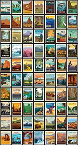 Riley Blake National Parks Posters 23”x43” Panel with Black Borders, Quilting, Apparel and Home Decor Fabric