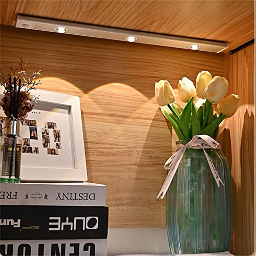 Motion Sensor Under Cabinet Lights - LED Under Counter Closet Lighting, Kitchen Night Lights, 3-Color Dimmable LED Light for Wardrobe, Closets (Silver)