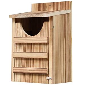 owl house owl box