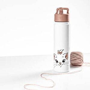 Simple Modern Disney Aristocats Water Bottle with Straw Lid Vacuum Insulated Stainless Steel Metal Thermos | Gifts Reusable Leak Proof Flask for Gym, Travel | Summit Collection | 22oz Aristocats