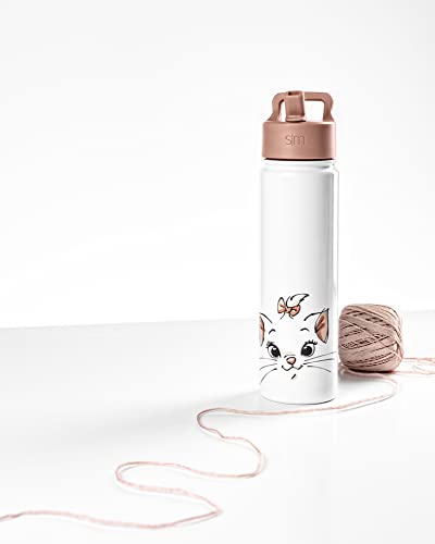 Simple Modern Disney Aristocats Water Bottle with Straw Lid Vacuum Insulated Stainless Steel Metal Thermos | Gifts Reusable Leak Proof Flask for Gym, Travel | Summit Collection | 22oz Aristocats