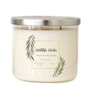 warm and cozy candle | vanilla, cinnamon, and cashmere, winter scented soy candles for home | 14oz clear jar, 40+ hour burn time, made in the usa