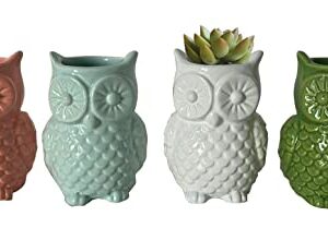 First of a Kind Owl Shaped Vases (Set of 4) - Ceramic Owl Succulent Planter Pots - Owls Gifts for Women - Owl Decor Vase - Farmhouse Stoneware Vases for Home Decor & Garden Gift