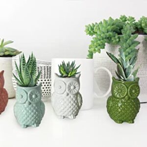 First of a Kind Owl Shaped Vases (Set of 4) - Ceramic Owl Succulent Planter Pots - Owls Gifts for Women - Owl Decor Vase - Farmhouse Stoneware Vases for Home Decor & Garden Gift