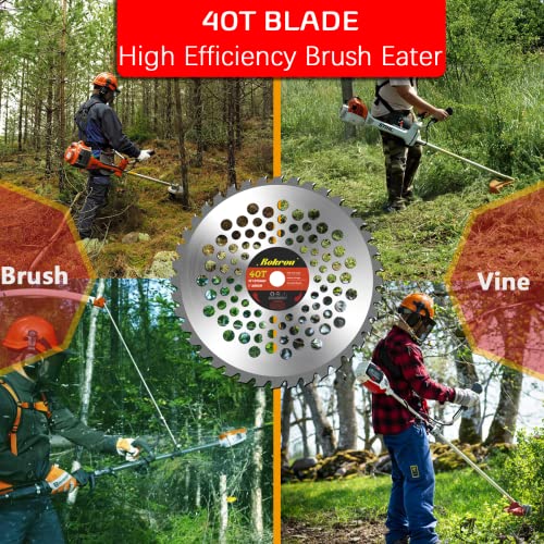 Rokrou 2 Pack Weed Eater Blades Brush Cutter Blades 10" 80T &10" 40T, Grass Cutter Trimmer with Washer 25.4mm/1" to 20mm/0.78"