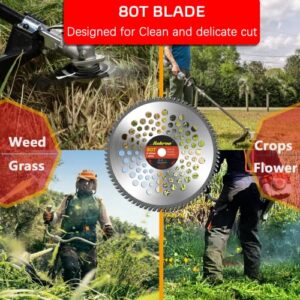 Rokrou 2 Pack Weed Eater Blades Brush Cutter Blades 10" 80T &10" 40T, Grass Cutter Trimmer with Washer 25.4mm/1" to 20mm/0.78"