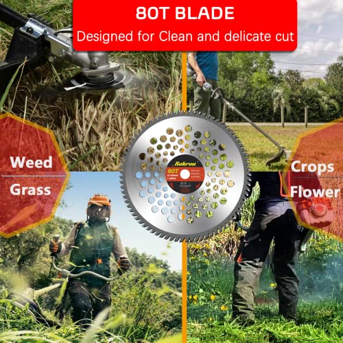 Rokrou 2 Pack Weed Eater Blades Brush Cutter Blades 10" 80T &10" 40T, Grass Cutter Trimmer with Washer 25.4mm/1" to 20mm/0.78"