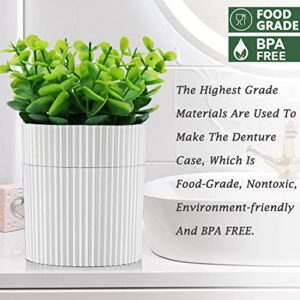 Denture Bath, Invisible Denture Case Designed As Artificial Eucalyptus Potted Plants, Denture Cup With Strainer For Retainer, Mouth Guard & Dentures, Perfect For Home Decoration…