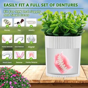 Denture Bath, Invisible Denture Case Designed As Artificial Eucalyptus Potted Plants, Denture Cup With Strainer For Retainer, Mouth Guard & Dentures, Perfect For Home Decoration…